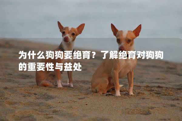 為什么狗狗要絕育？了解絕育對(duì)狗狗的重要性與益處